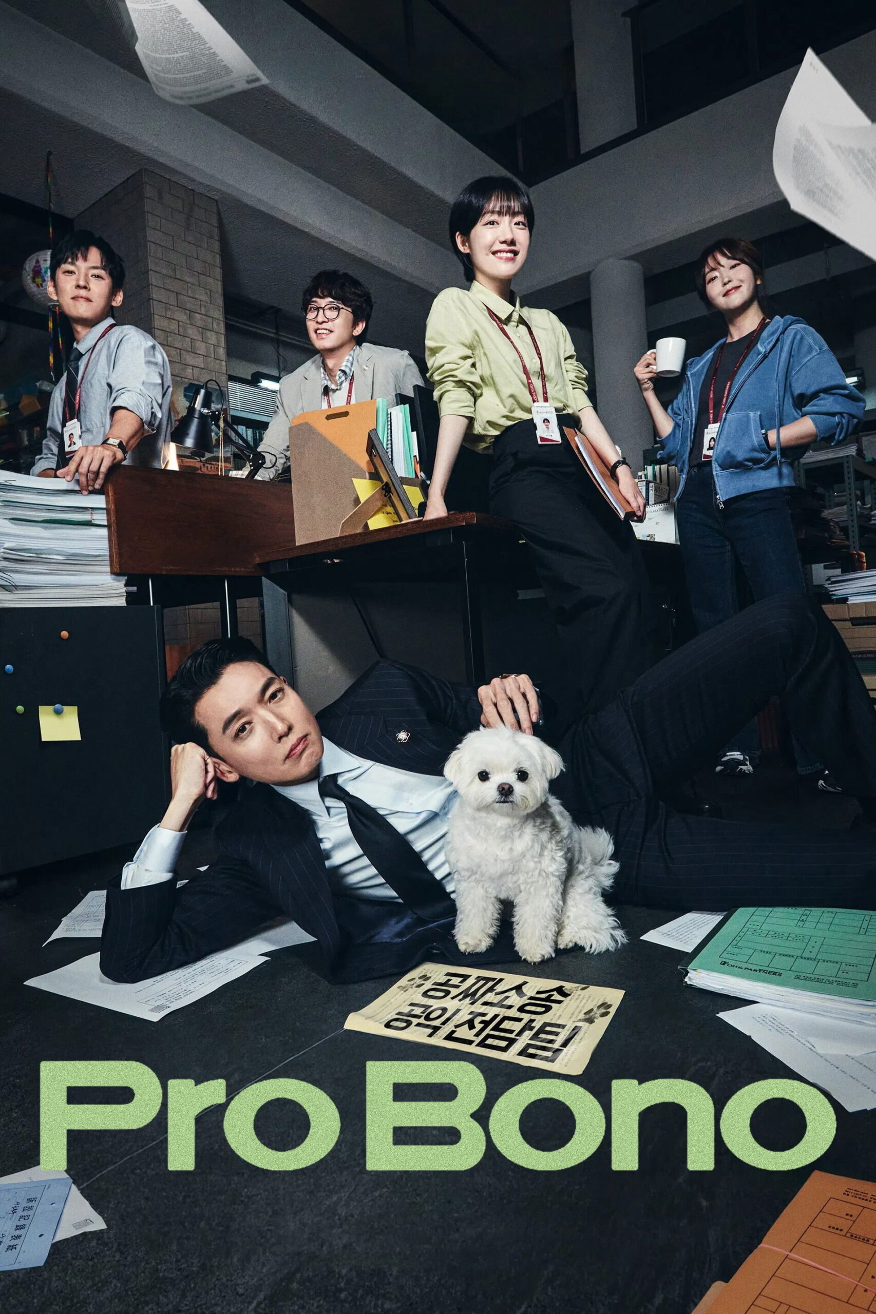Pro Bono Korean drama poster
